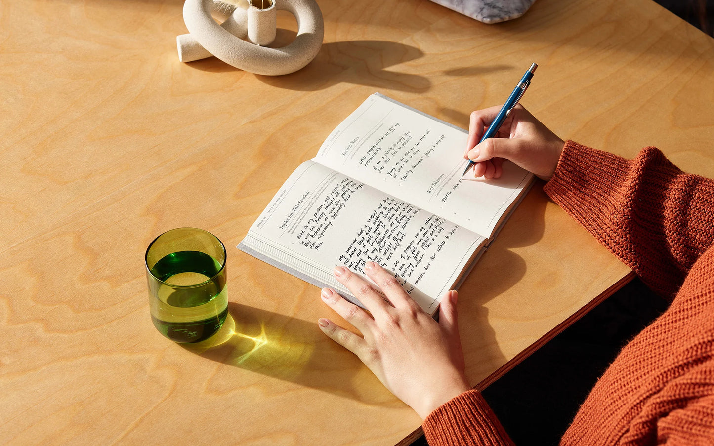 The Therapy Guided Journal