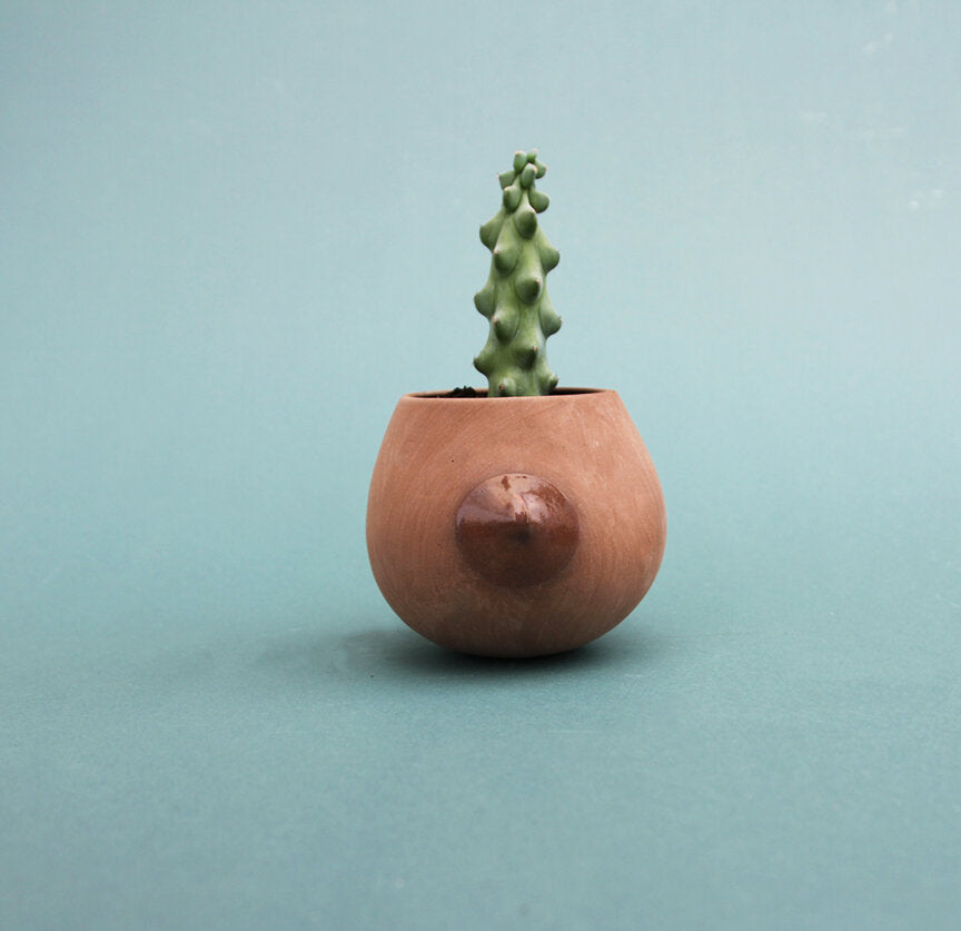 Nip Planter