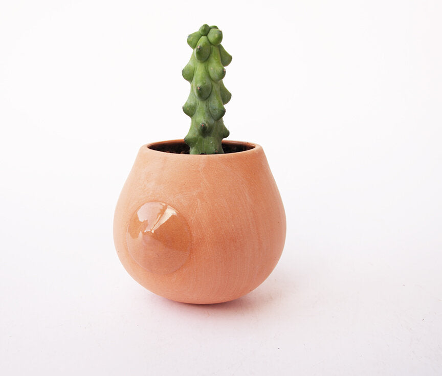 boob plant pot Ceramic Boob Planter by Nikko Ware – PiPH by Paper Epiphanies