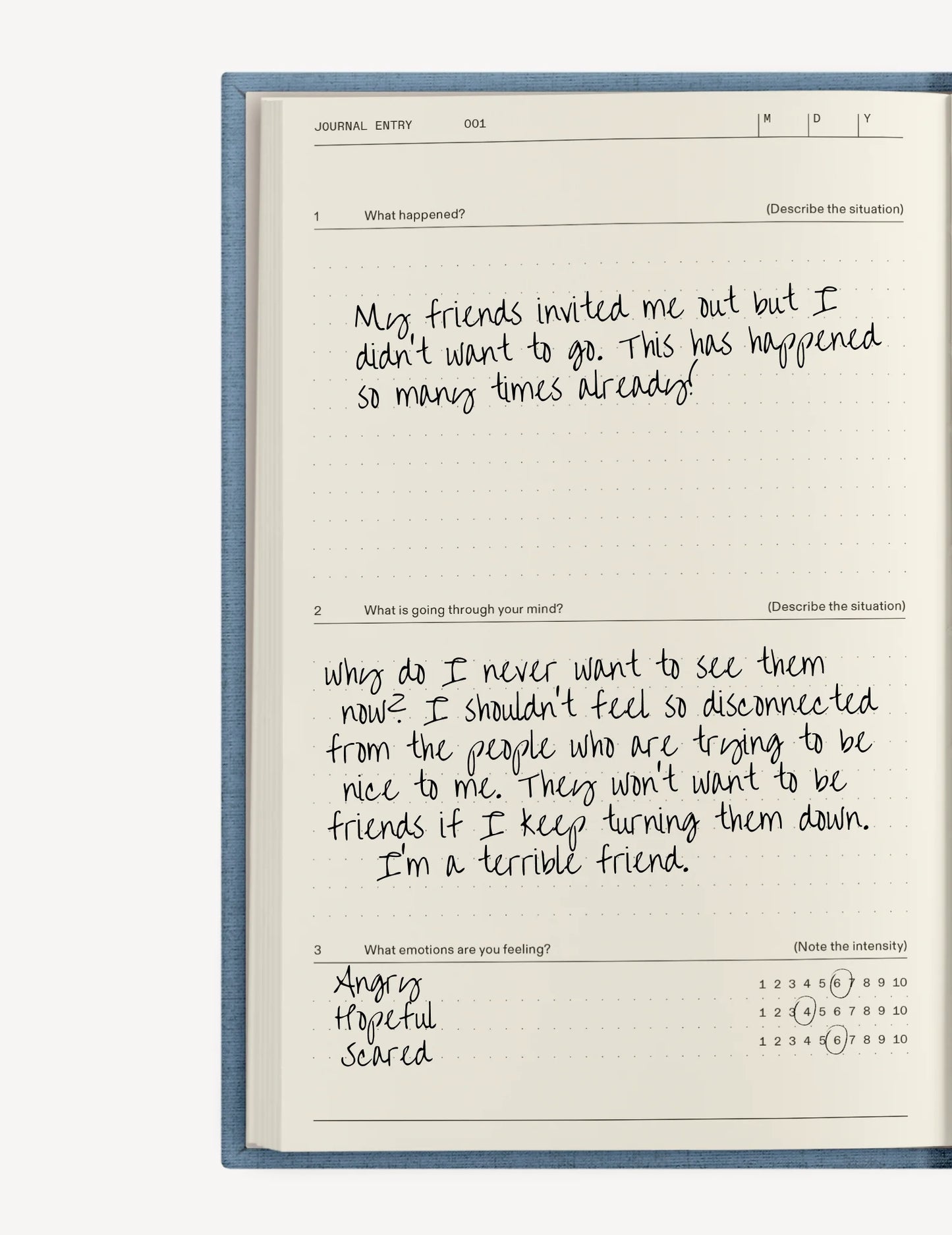 The Anti-Anxiety Guided Journal