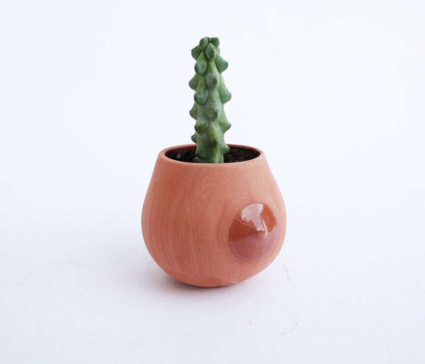 Nip Planter