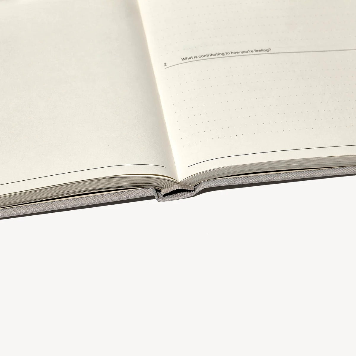 The Therapy Guided Journal