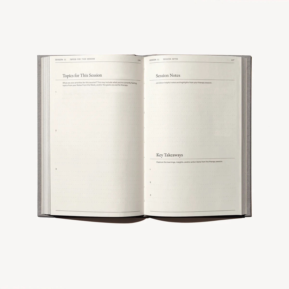 The Therapy Guided Journal
