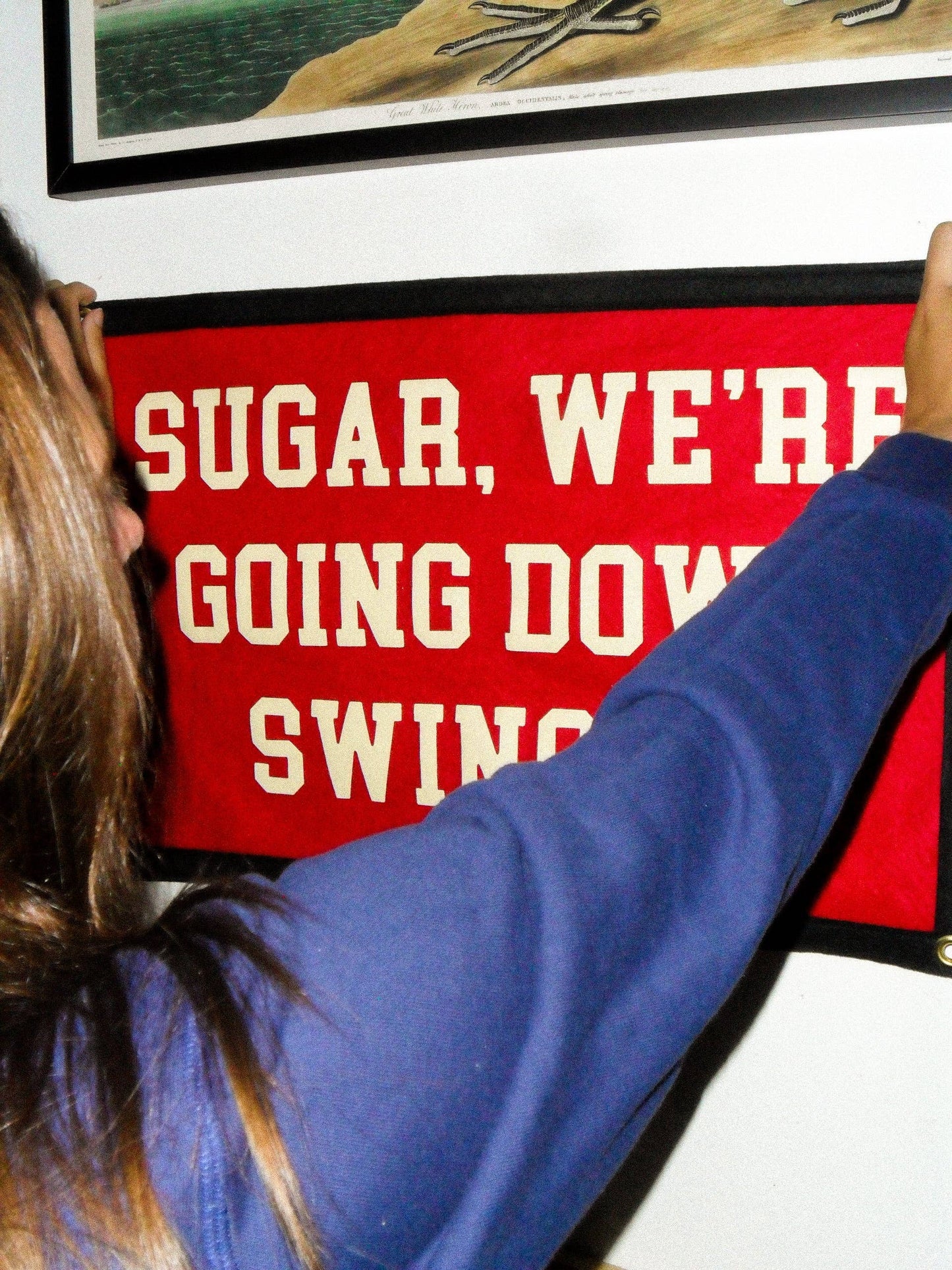 Sugar, We're Going Down Swingin' Camp Flag