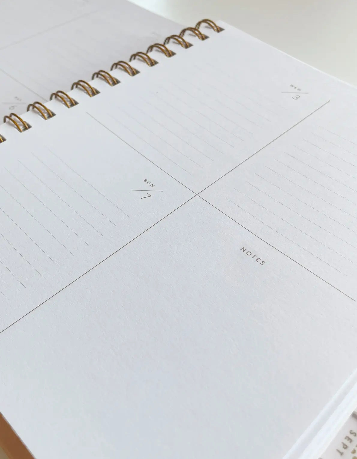 2024 Nude Checks Planner