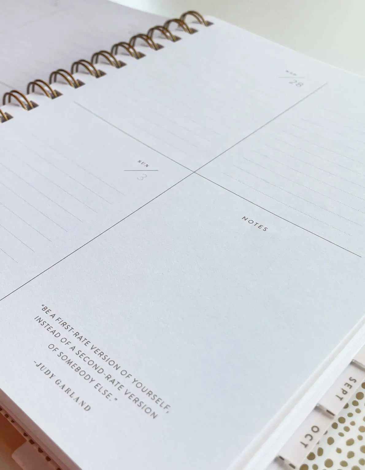 2024 Nude Checks Planner