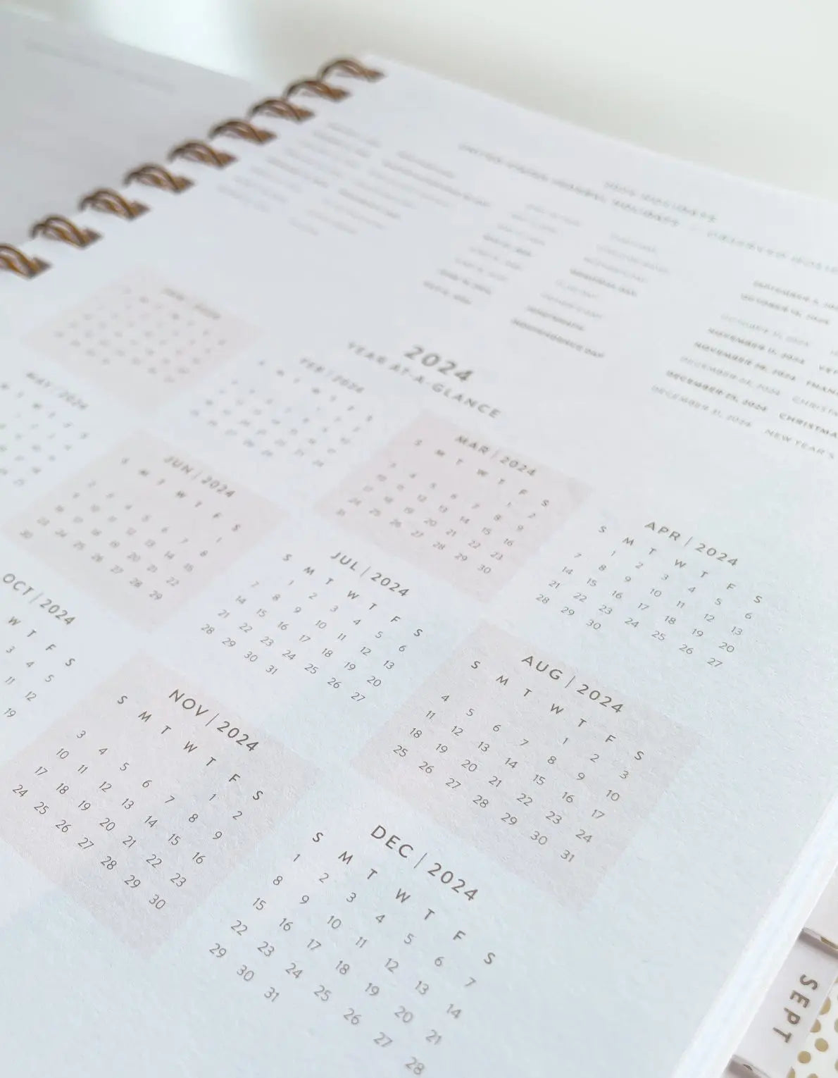 2024 Nude Checks Planner