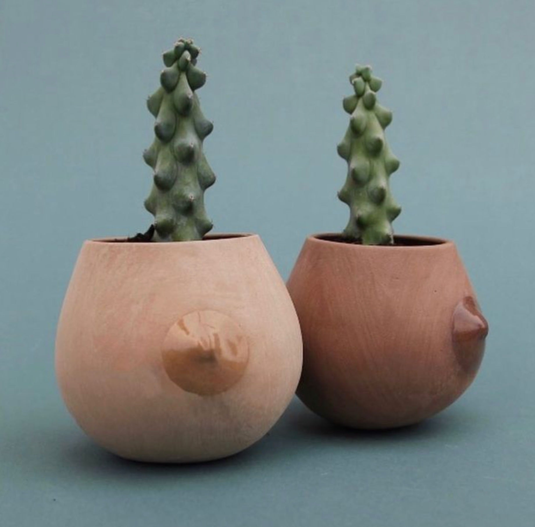 booby plant pot Ceramic Boob Planter by Nikko Ware – PiPH by Paper Epiphanies